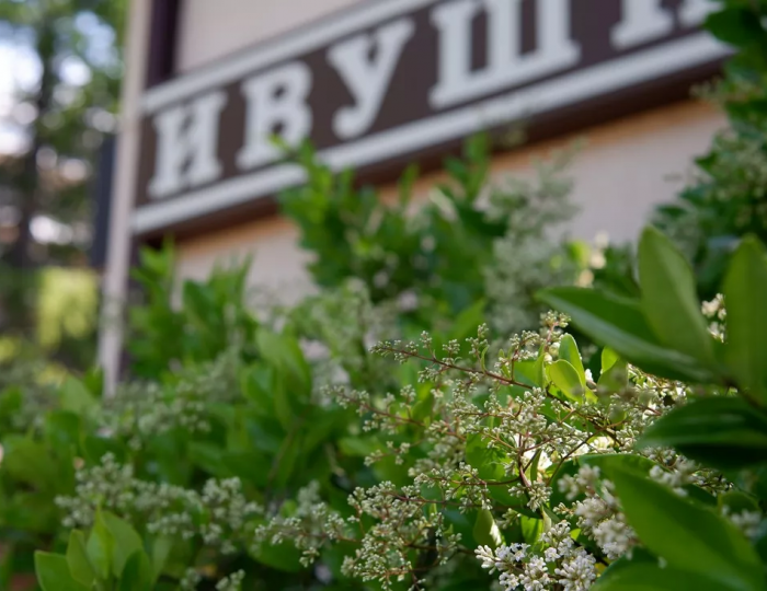 Кафе «Ивушка» - Пансионат «Бургас»